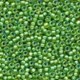 Perles Frosted Seed 62049 Frosted Spring Green