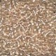 Perles Antique Seed 03050 Champagne Ice