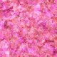 Tissus QT FABRICS - PRISM par Dan Morris 27106.P Carnation