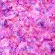 Tissus QT FABRICS - PRISM par Dan Morris 27106.PV Pink