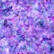 Tissus QT FABRICS - PRISM par Dan Morris 27106.V Purple