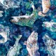 Tissus QT FABRICS - CEDAR RIDGE par Dan Morris 27657.W Batik Fishes