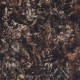 PERIWINKLE par Dan Morris 28629.K Large Leaves Brown