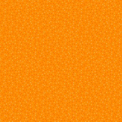 PIPS par Kim Schaefer 1032.O Orange